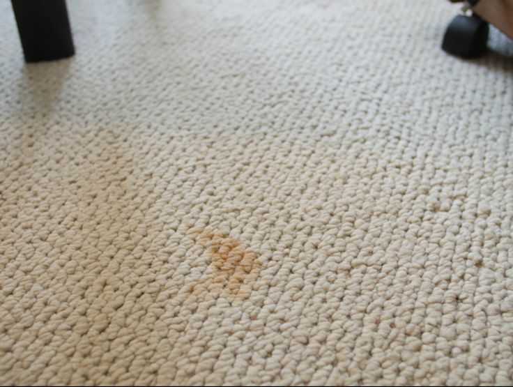 How to Deep Clean Carpet Without a Machine — And the Best Homemade ...