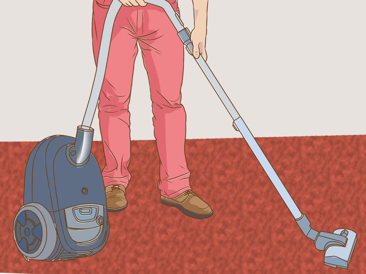 3 Ways to Deep Clean Carpet - wikiHow