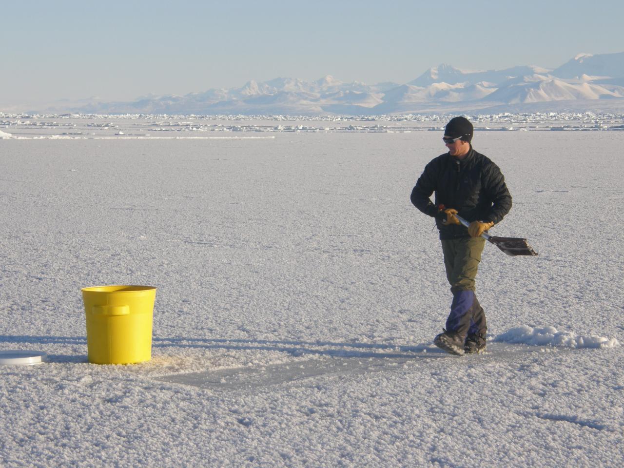 Autumn Forest Clean Road Free Stock Photo - Public Domain Pictures