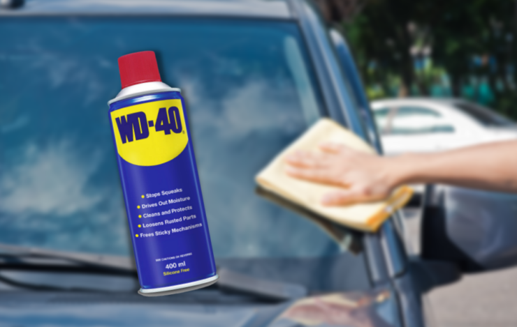 How to Remove Tree Sap From Your Car Paint - 6 Quick Methods How to Remove Tree Sap From Your Car Paint - 6 Quick Methods