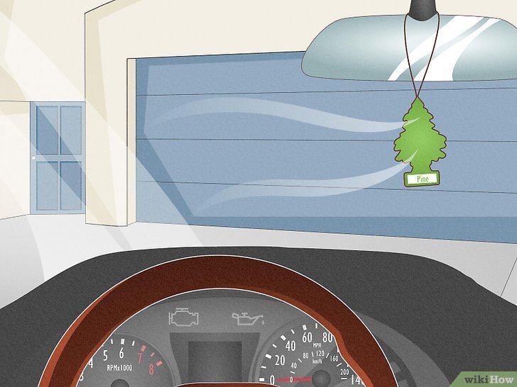 How to Get Rid of Smoke or Pet Odors in Your Car